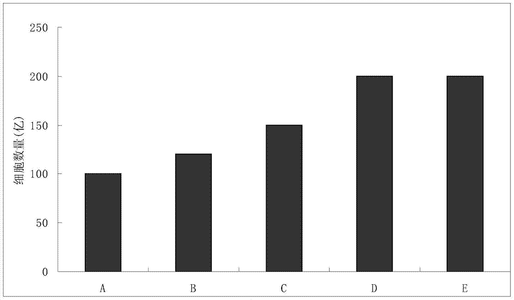 Preparation method of enhanced CIK (Cytokine Induced Killer) cell, and cell preparation