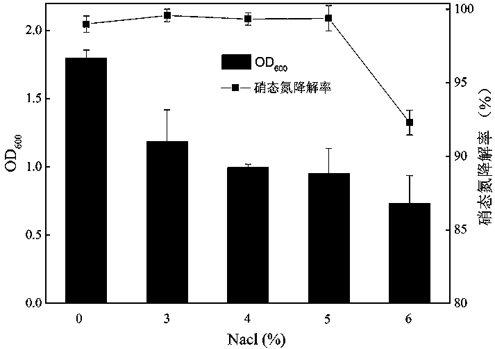 Salt-tolerant aerobic denitrifying bacterium and application