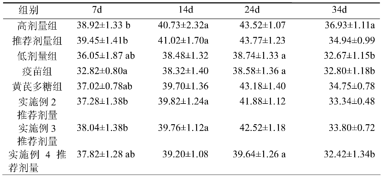 Echinacea purpurea root granule, its preparation method and its application in the preparation of swine and chicken vaccine immune enhancer