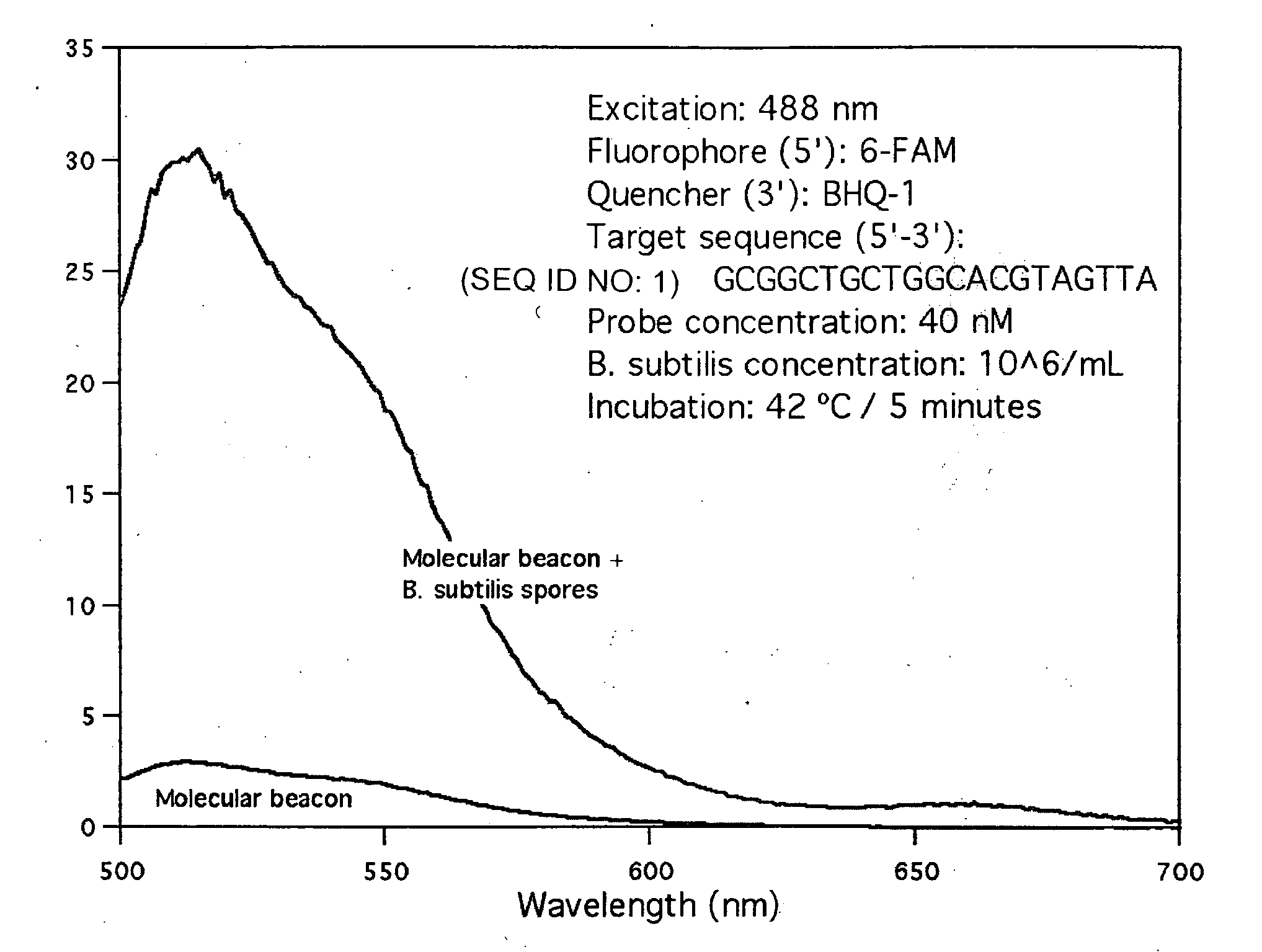 Method for rapid identification and quantification of microorganisms