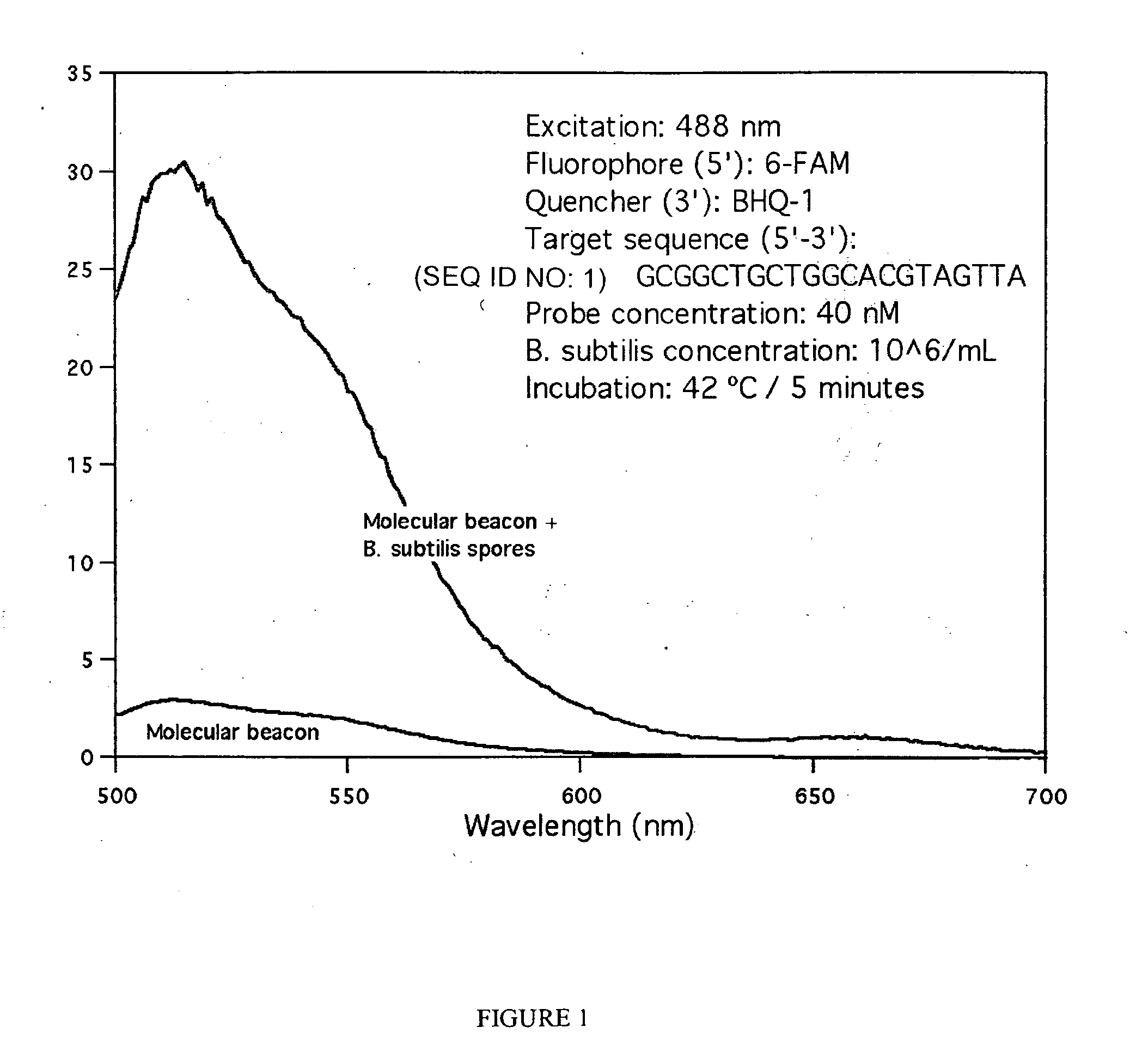 Method for rapid identification and quantification of microorganisms