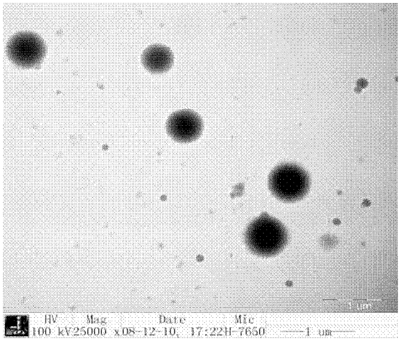 Preparation method of chitosan newcastle disease vaccine nanoparticles