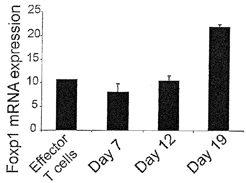 Methods and compositions for enhancing the therapeutic effect of anti-tumor T cells