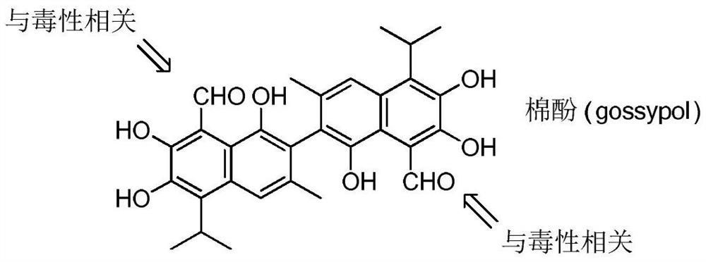 Fluorine-containing gossypol derivatives with antitumor activity, preparation method and application thereof