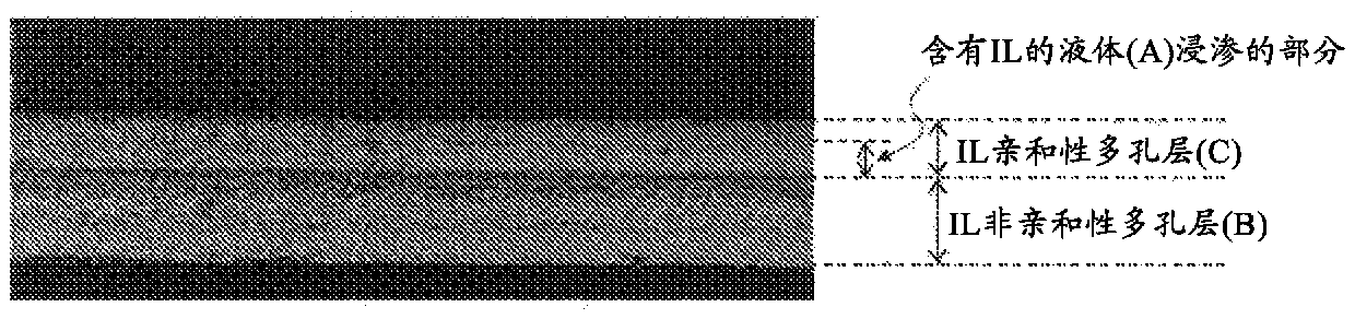 Carbon dioxide separation membrane and production method therefor