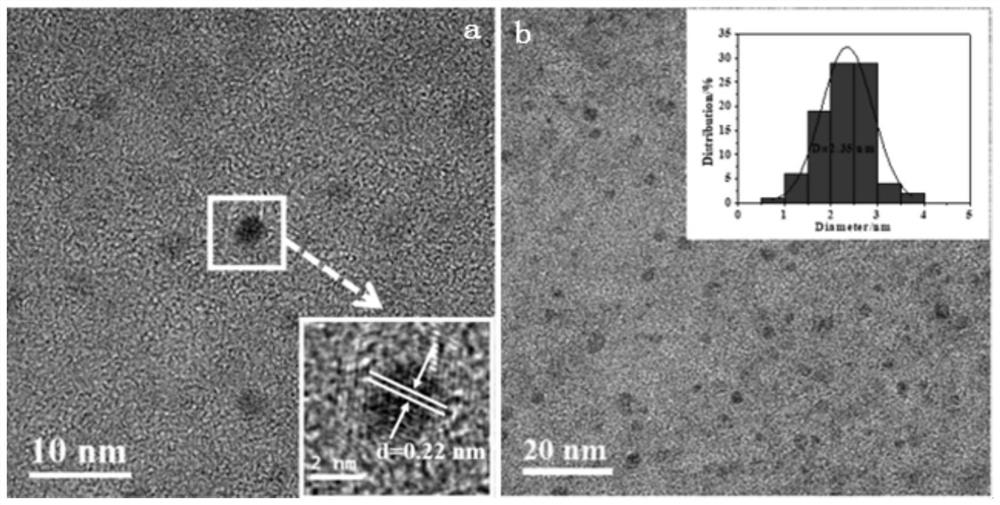 Boron-doped carbon quantum dot containing transition metal as well as preparation method and application of boron-doped carbon quantum dot