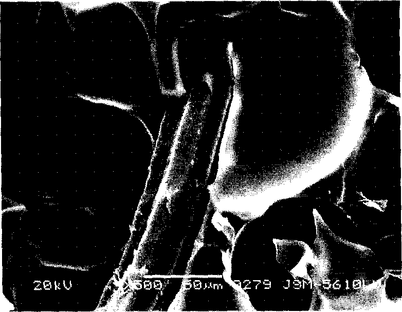 Plant fibre reinforced foam composite material with hard polyurethane structure and production thereof