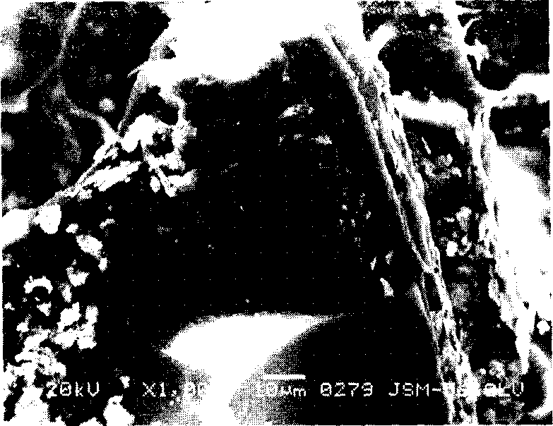 Plant fibre reinforced foam composite material with hard polyurethane structure and production thereof