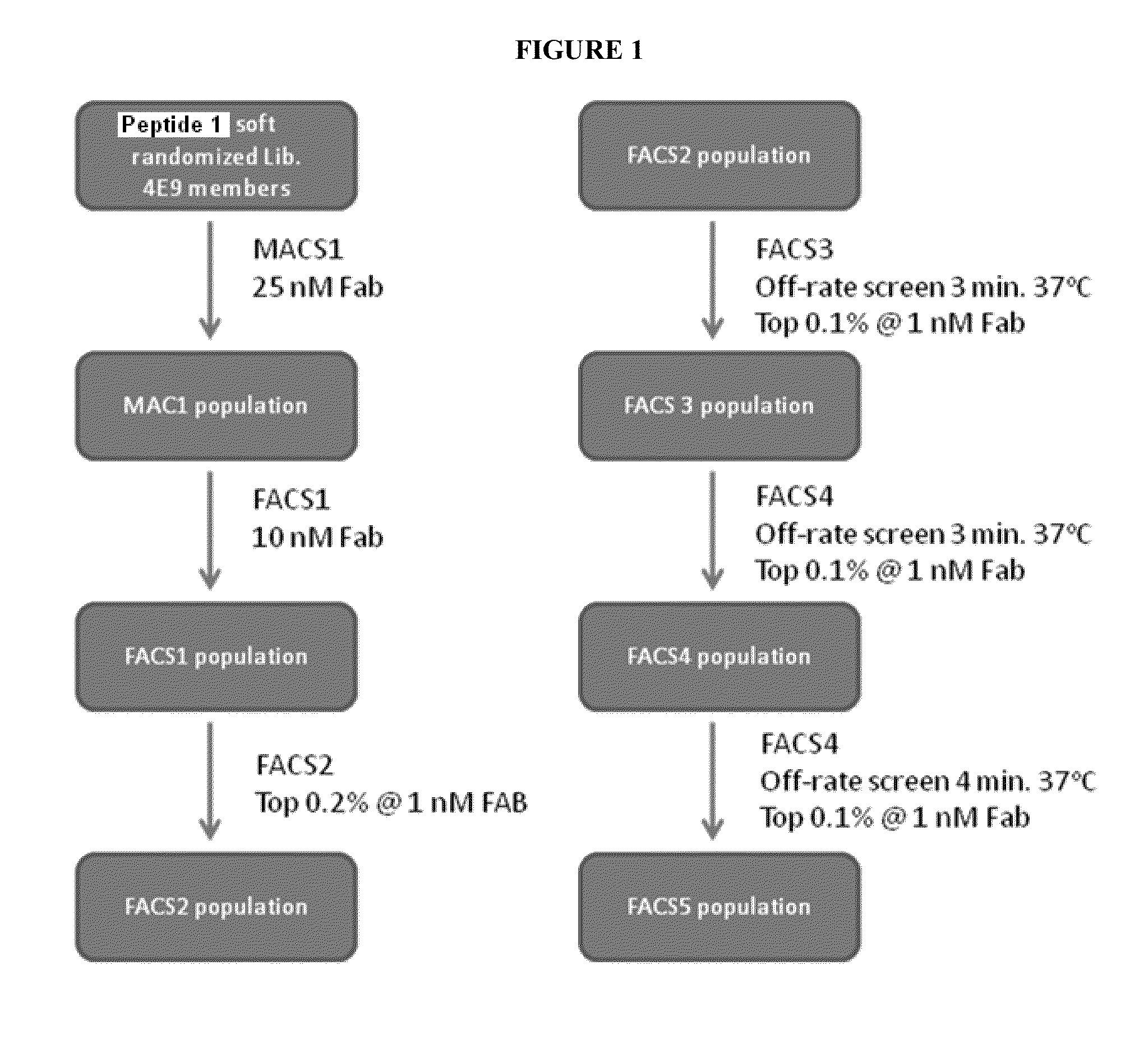 Activatable Antibodies that Bind Interleukin-6 Receptor and Methods of Use Thereof