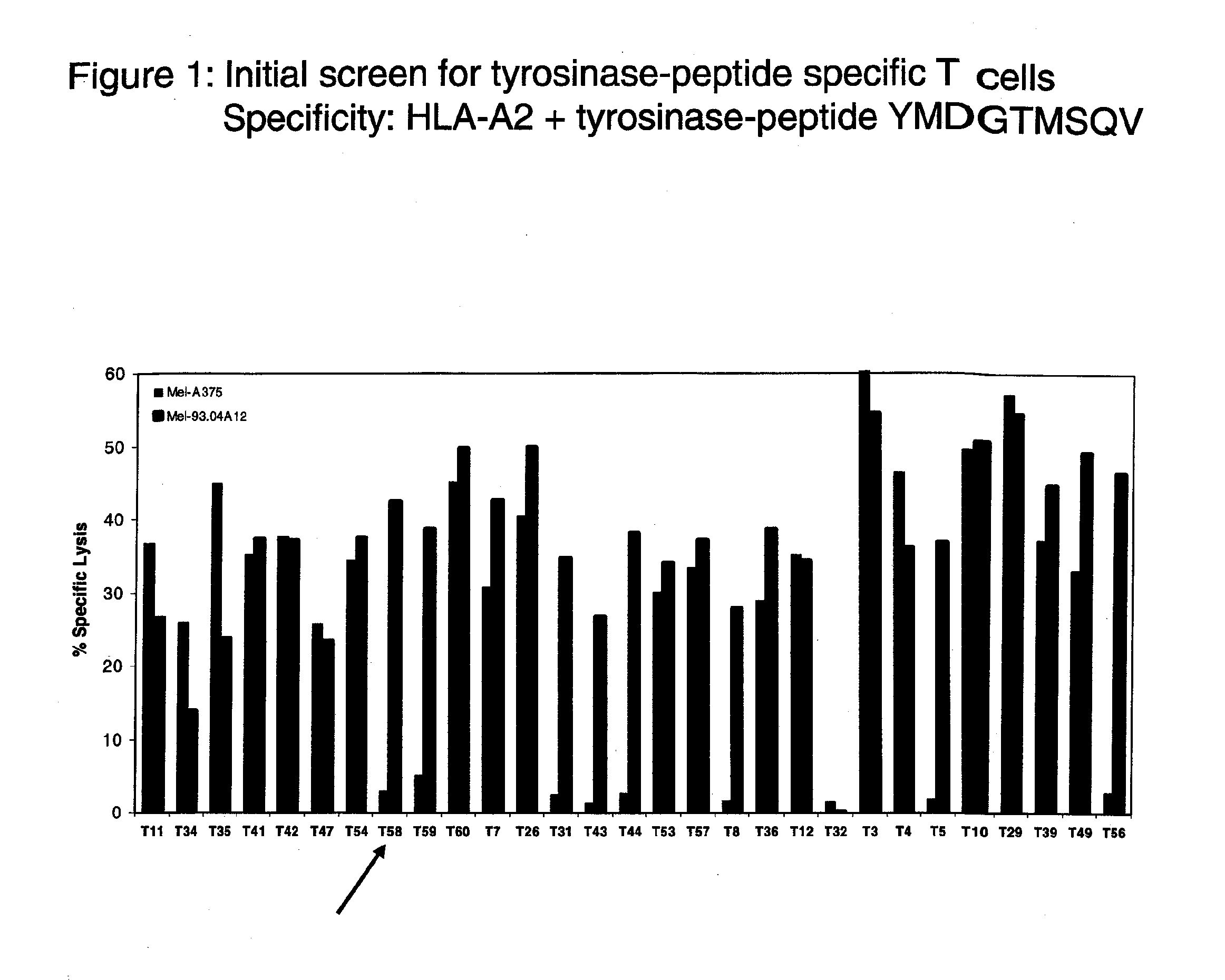 High affinity t cell receptor and use thereof