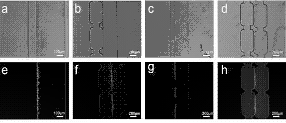 Micro-slit-structure-based full PDMS (polydimethylsiloxane) micro-fluidic cell capturing chip and manufacturing method thereof