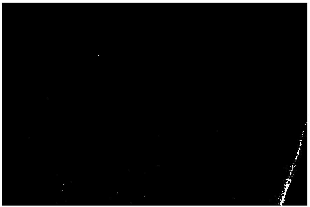 Preparation method of transition metal doped carbon fluorescent quantum dots