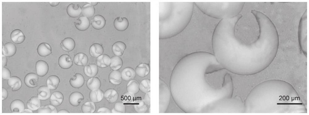 Crescent-shaped and deformed ceramic microparticles, its preparation method, application and preparation device