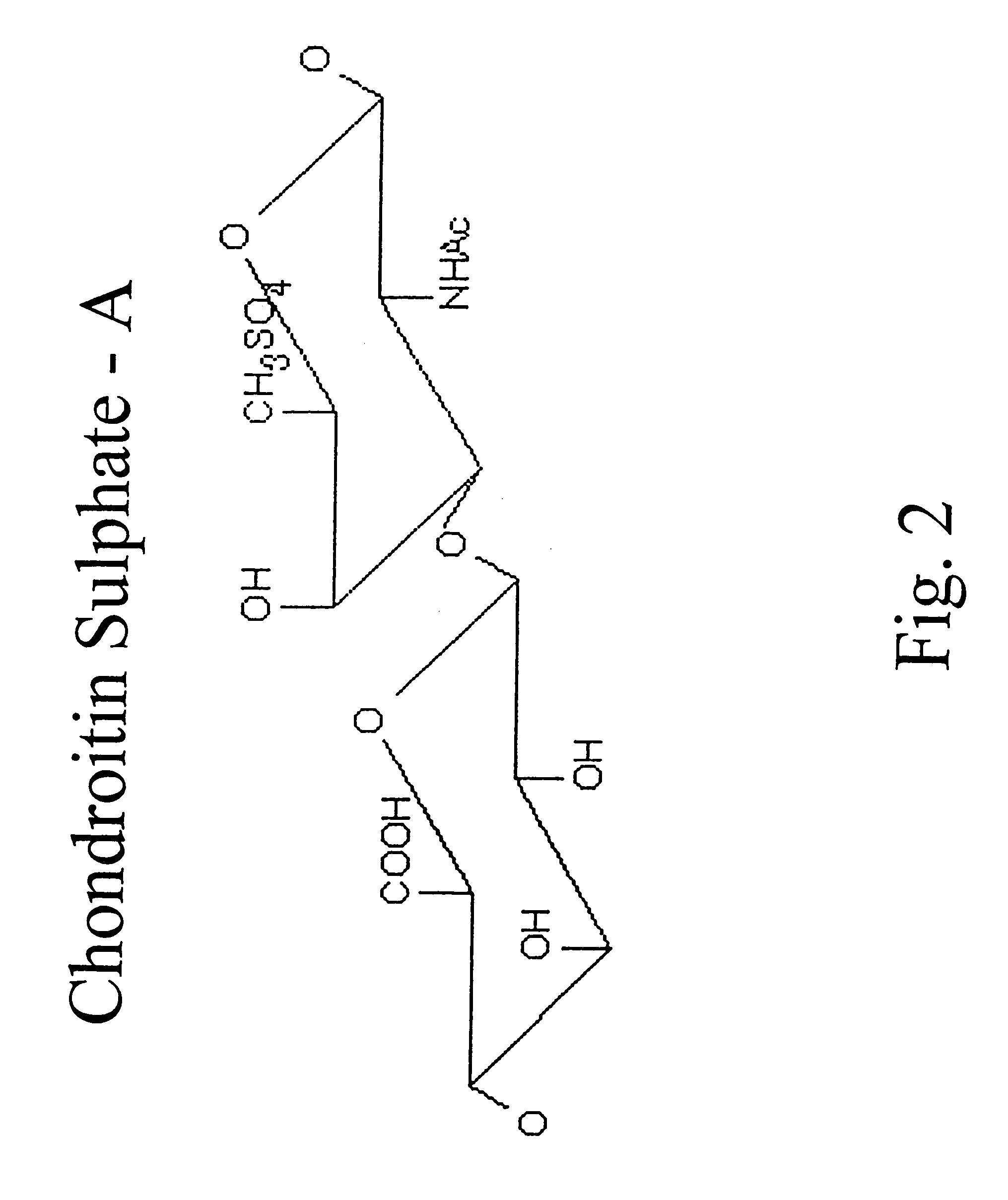 Hyaluronic acid and chondroitin sulfate based hydrolyzed collagen type II and method of making same