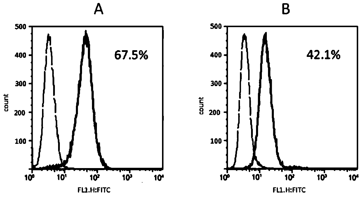 Novel chimeric antigen receptor (CAR) targeting CD19 and applications thereof