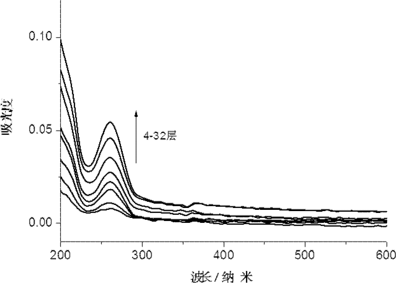 Composite lighting thin film material of nucleotide and layered double hydroxide nanometer sheet and preparation method thereof