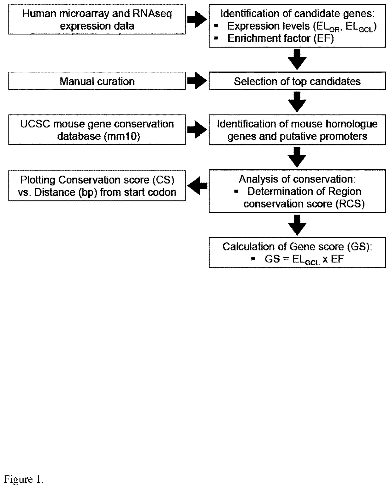 Retinal Promoter and Uses Thereof