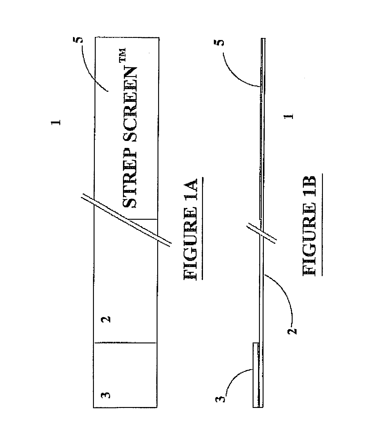 Kit for detection of hemolytic streptococcus