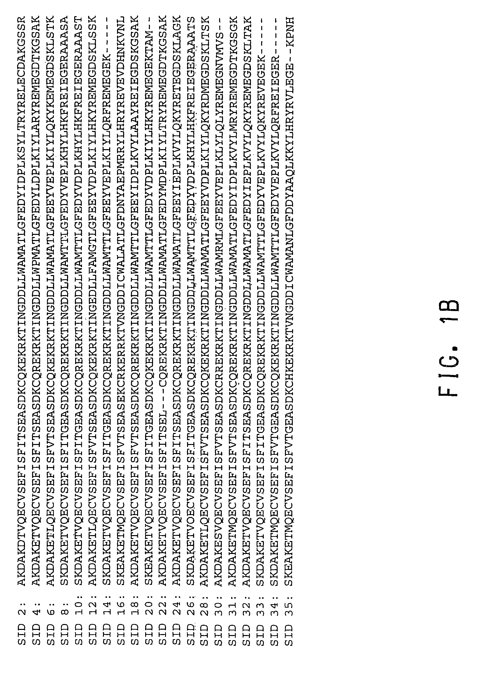 Plant transcription factors