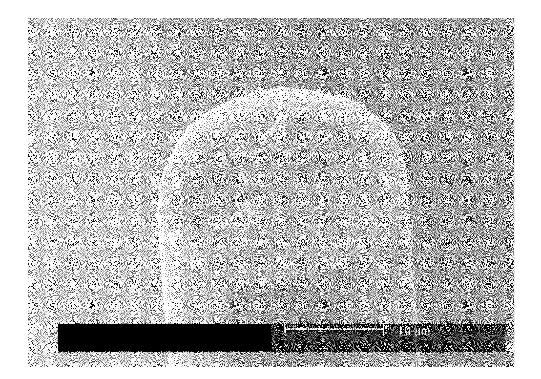 Method for preparing pitch-based carbon fiber