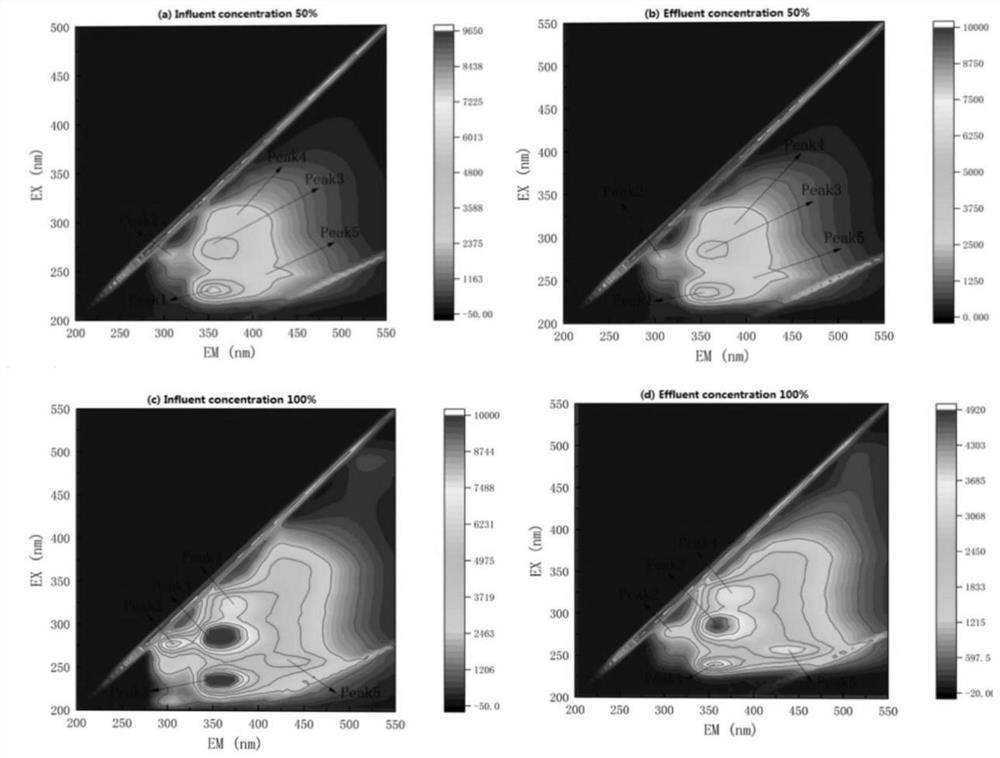 Domestication of activated sludge with glucose as co-substrate and its application in advanced treatment of coking wastewater