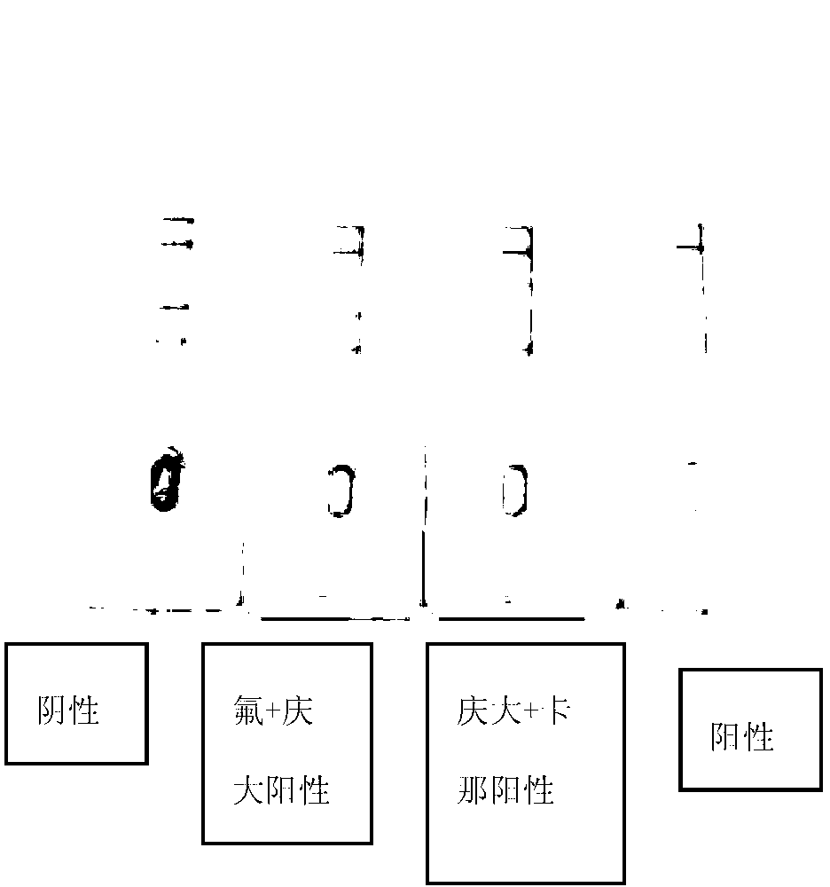 Multi-residue colloidal-gold rapid detection kit, and detection method and application thereof