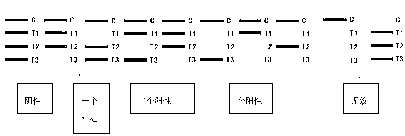 Multi-residue colloidal-gold rapid detection kit, and detection method and application thereof