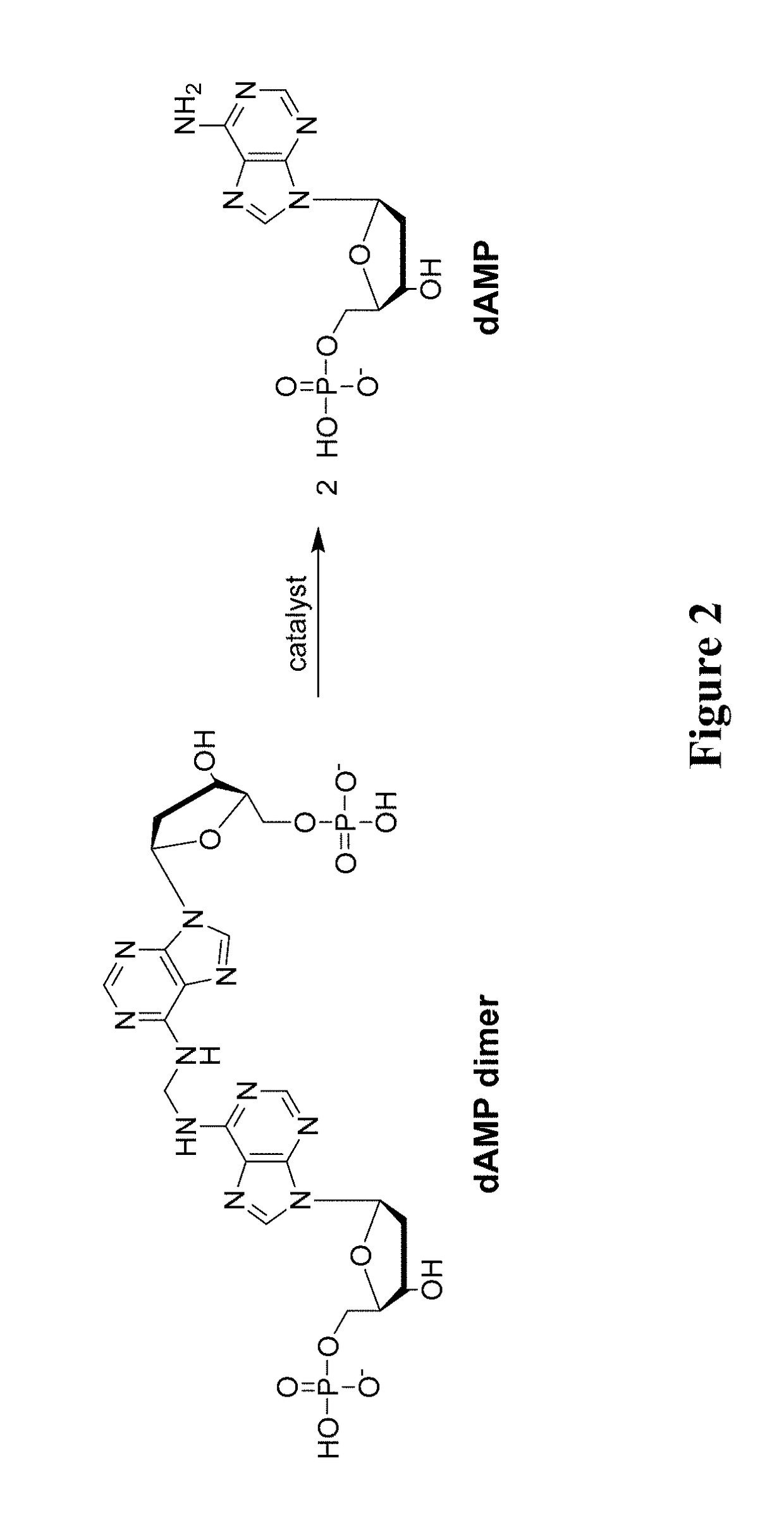 Catalysts for reversing formaldehyde adducts and crosslinks