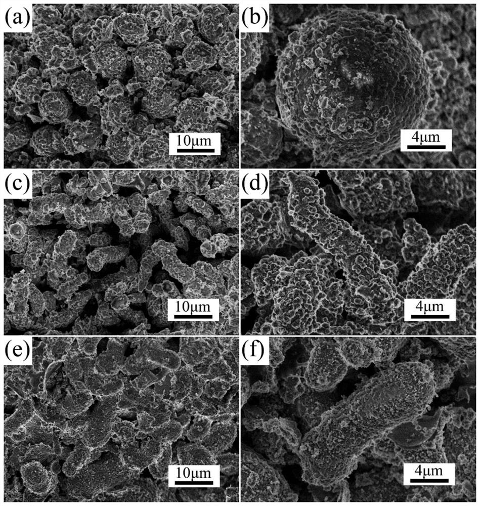 Insect-shaped carbon material for supercapacitor and application of insect-shaped carbon material