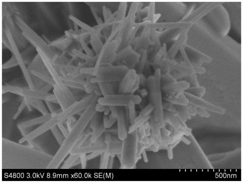 A solvothermal method for preparation of flower-like Cu  <sub>2</sub> v  <sub>2</sub> o  <sub>7</sub> -cuo nanocomposite approach