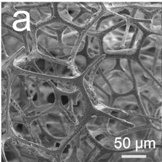 A kind of graphene-based oil-water separation foam material and its preparation method and application