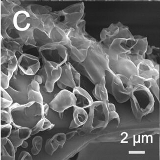 A kind of graphene-based oil-water separation foam material and its preparation method and application