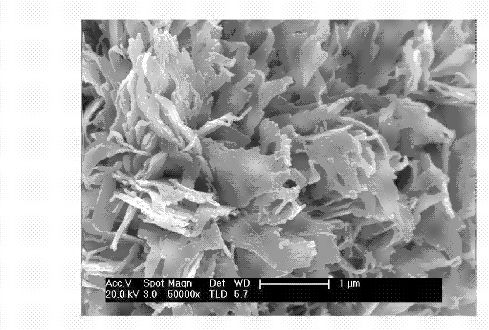 Oil-water separation copper foam and preparation method thereof