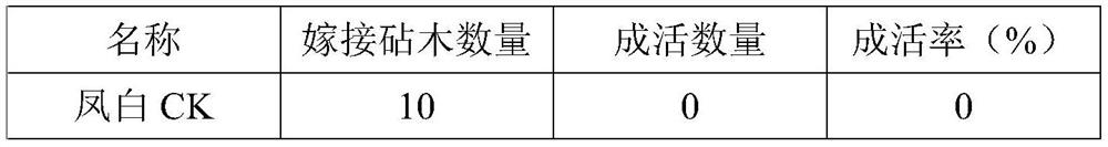 Grafting cultivation method of wisteria