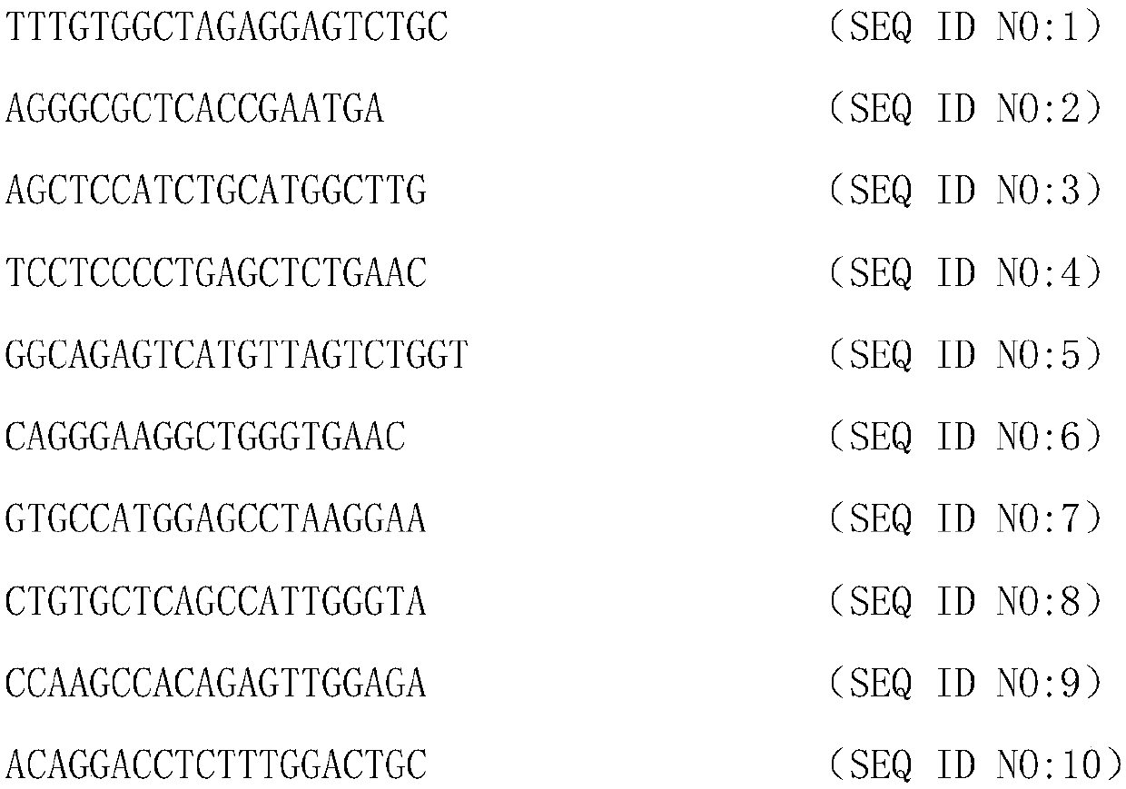 DNA-based fusion gene quantitative sequencing library construction, detection method and its application