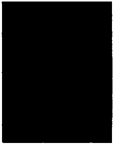 Underwater dispersion-resistant porous concrete with large particle size and preparation method thereof