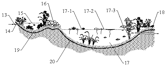 Ecological system for comprehensively treating rural rain and sewage in hilly areas