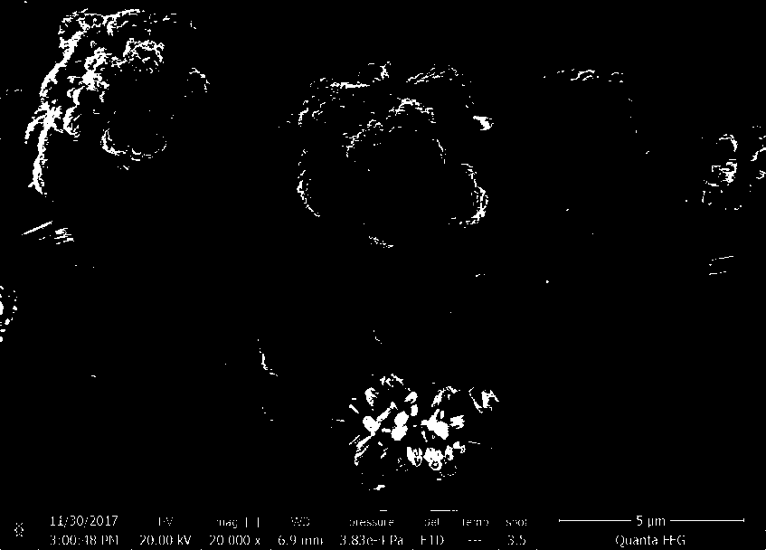 A kind of preparation method of micron flower structure rutile phase titanium dioxide