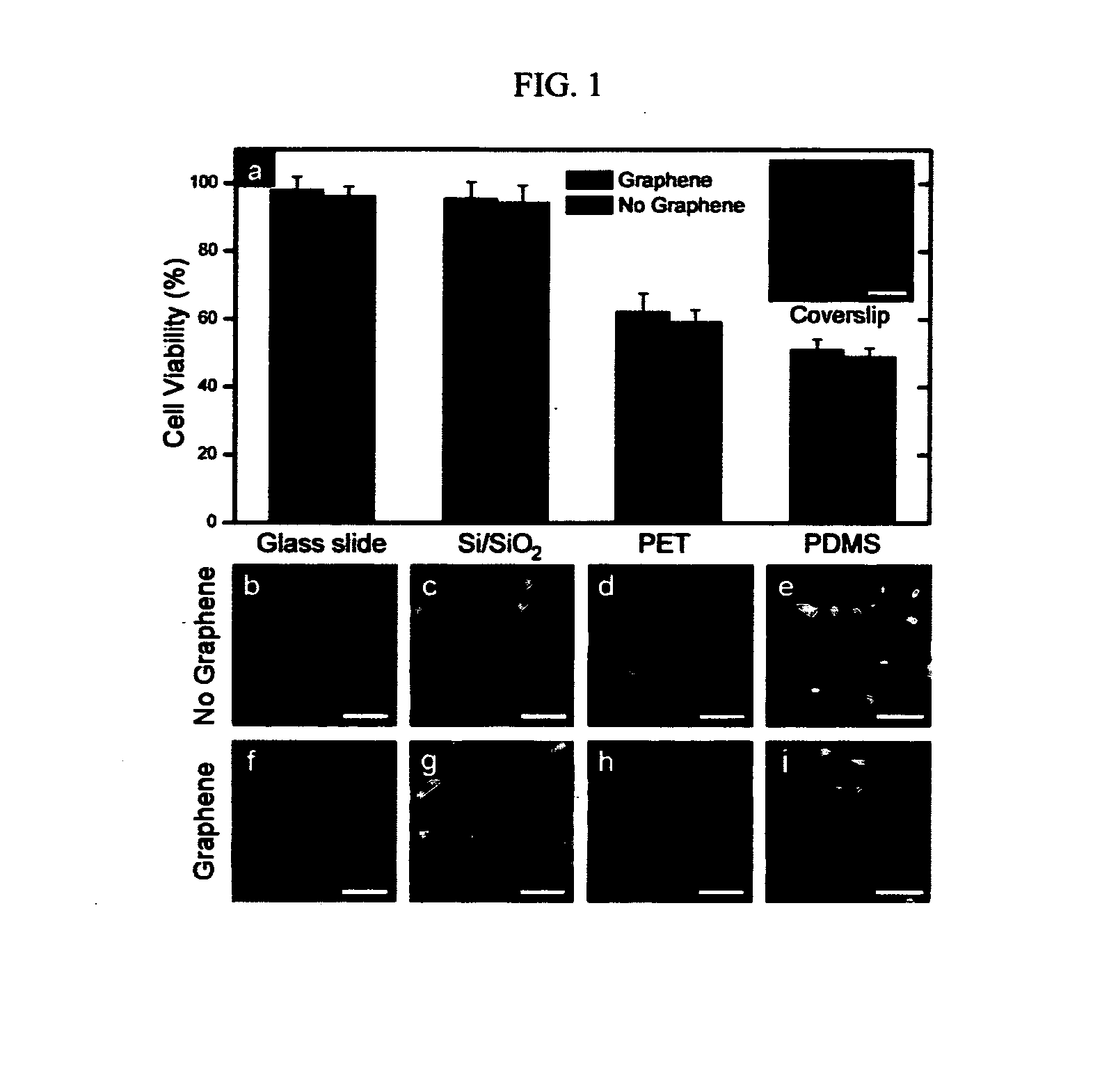 Method For Controlling And Accelerating Differentiation Of Stem Cells Using Graphene Substrates