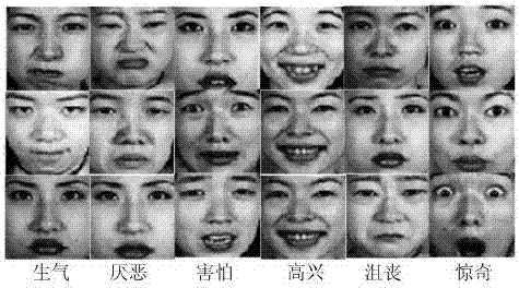 A facial expression recognition method based on MB-2DPCA features