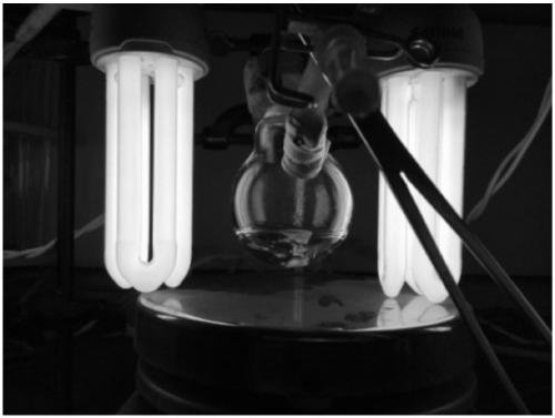 Initiating System for Living Radical Photopolymerization of Methacrylate Monomers