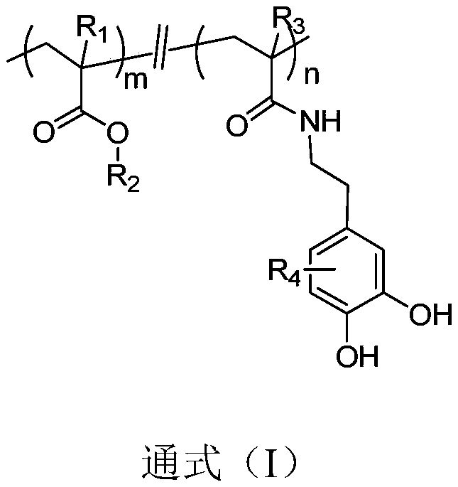 Surface coating polymer, and preparation method and application thereof