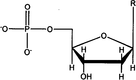 Novel technology for full cellular biosynthetic deoxyribonucleoside triphosphate