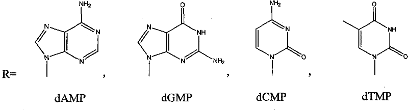 Novel technology for full cellular biosynthetic deoxyribonucleoside triphosphate