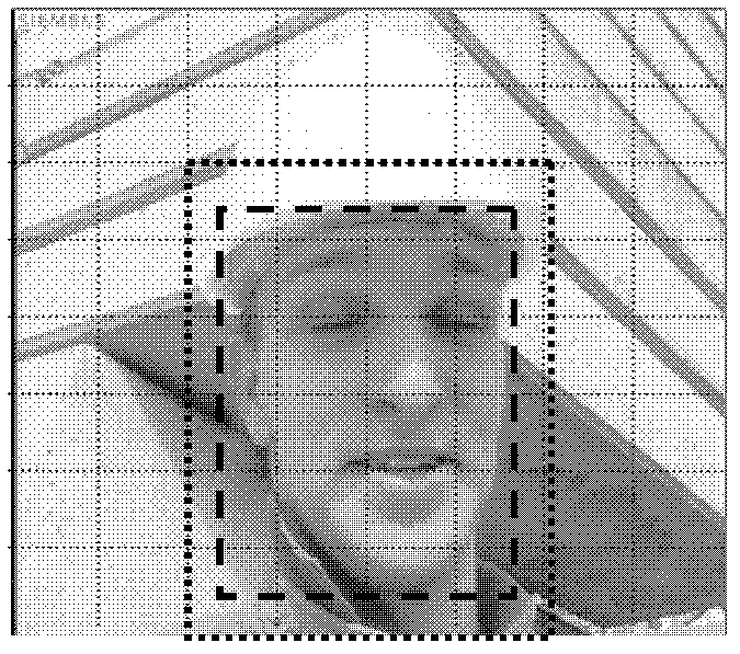 Method for coding session video by combining time domain dependence of face region and global rate distortion optimization