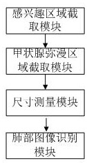 Ultrasonic image-based thyroid diffuse disease intelligent diagnosis method and system