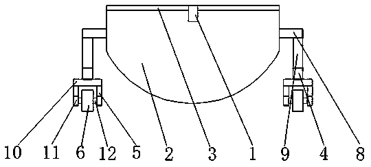 Rice seedling conveying device