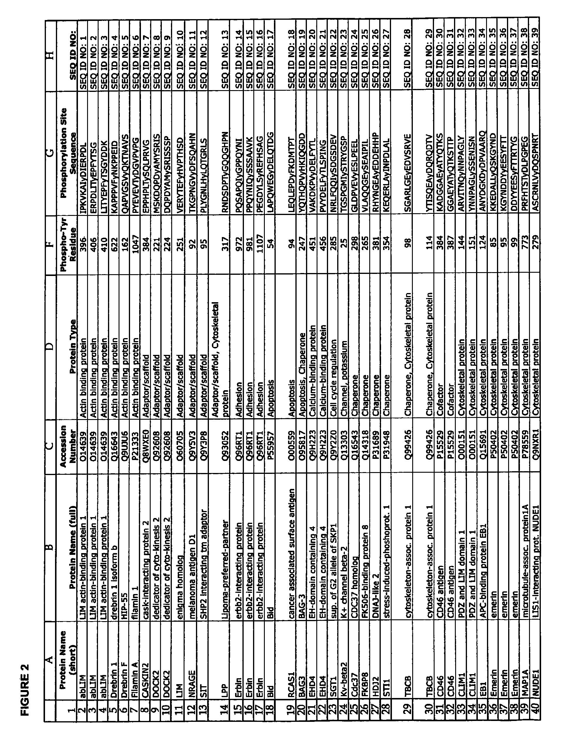 Reagents for the detection of protein phosphorylation in T-cell receptor signaling pathways