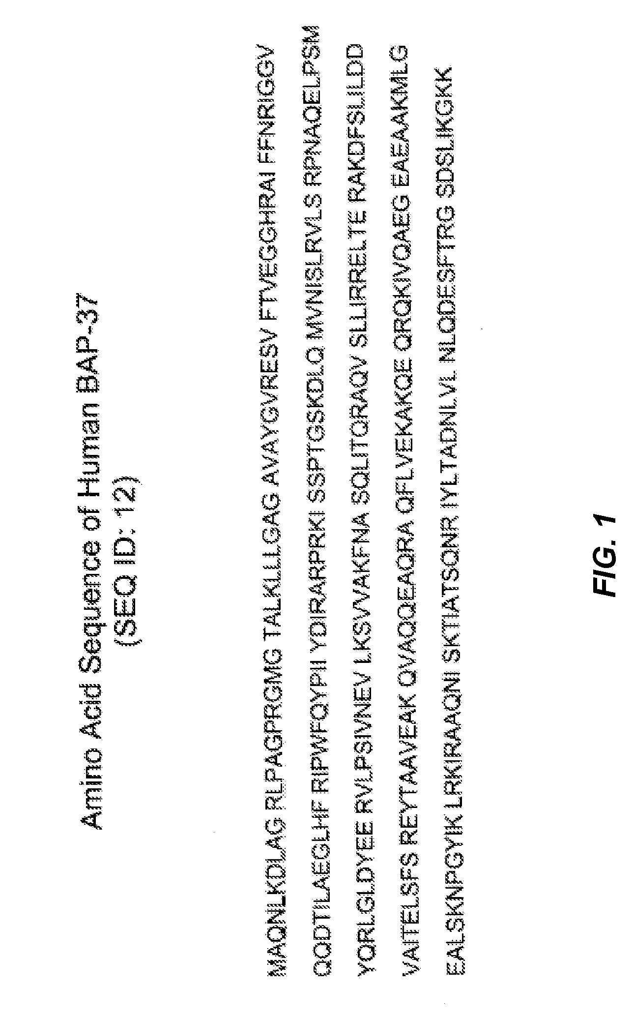 Methods of Identifying Compounds that Modulate IL-4 Receptor-Mediated IgE Synthesis Utilizing a B-Cell Associated Protein