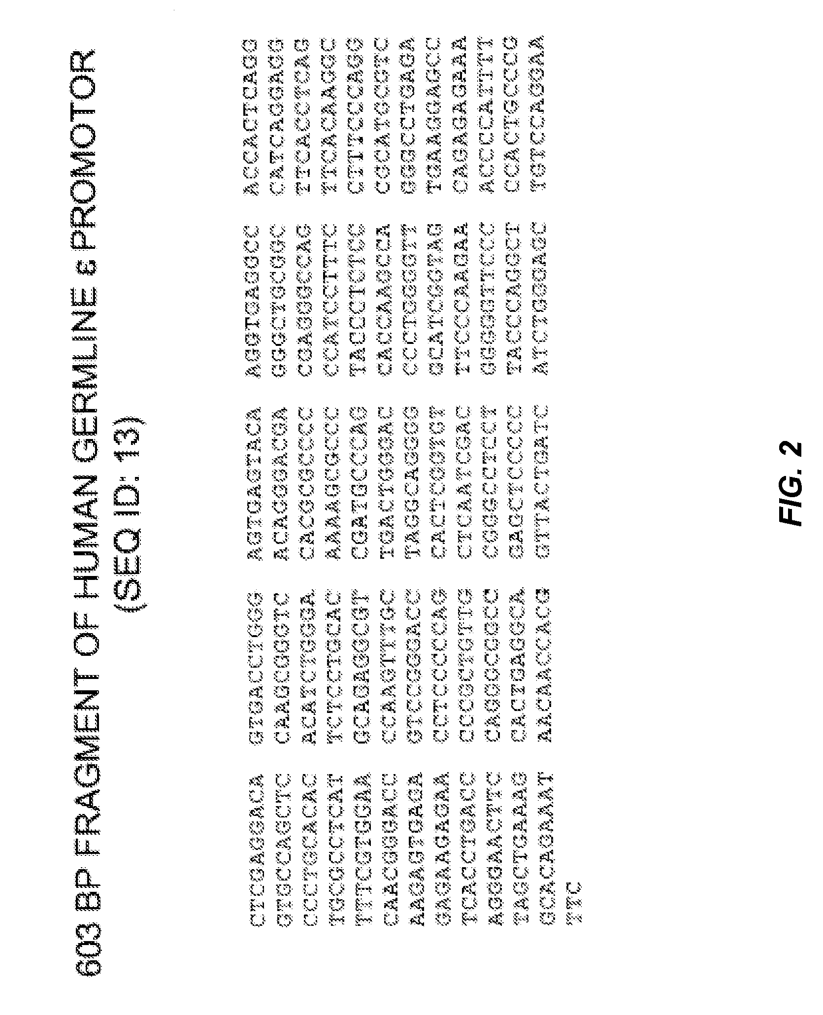 Methods of Identifying Compounds that Modulate IL-4 Receptor-Mediated IgE Synthesis Utilizing a B-Cell Associated Protein